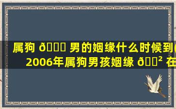 属狗 💐 男的姻缘什么时候到(2006年属狗男孩姻缘 🌲 在哪一年)